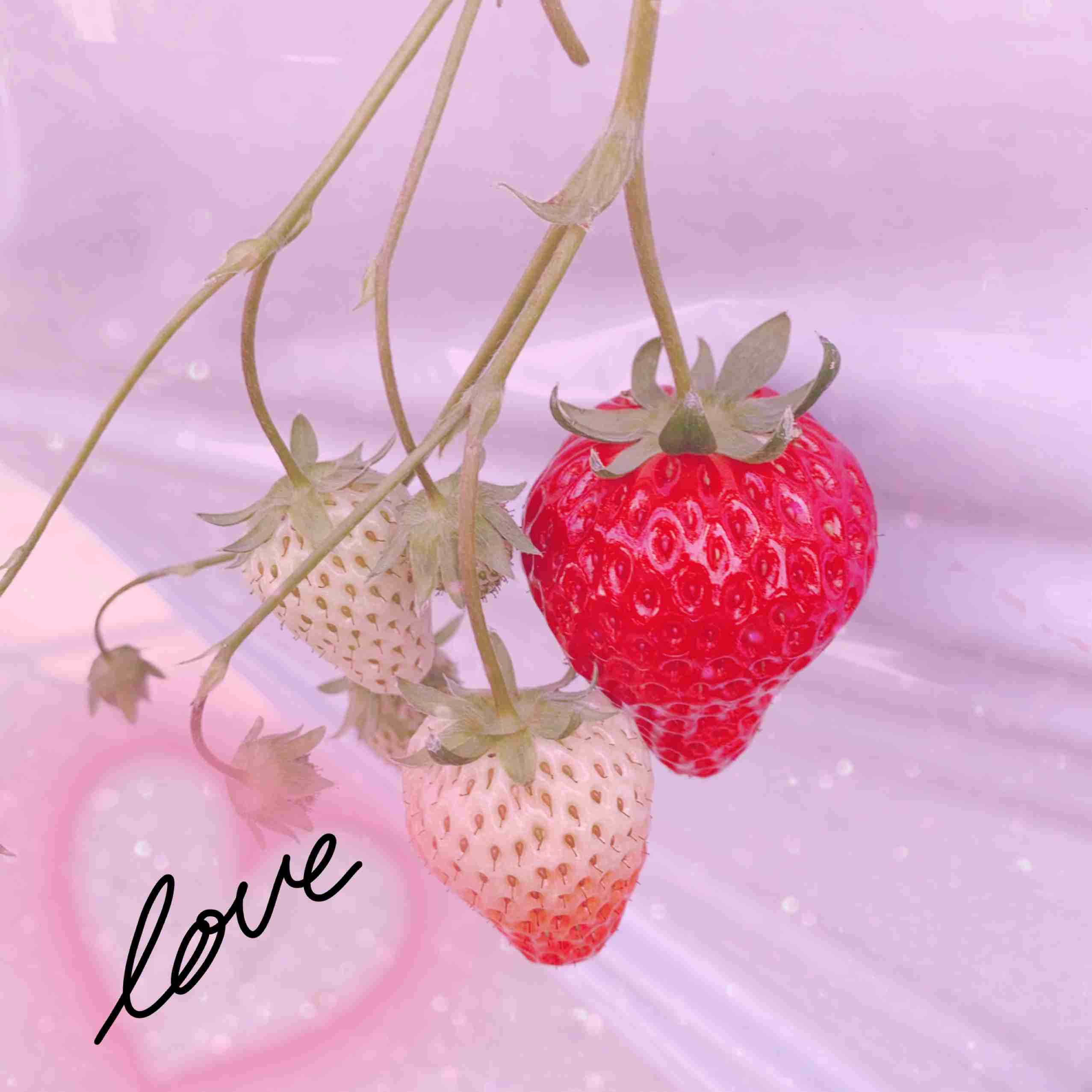 自分で撮った写真を適当に加工するトピPart２