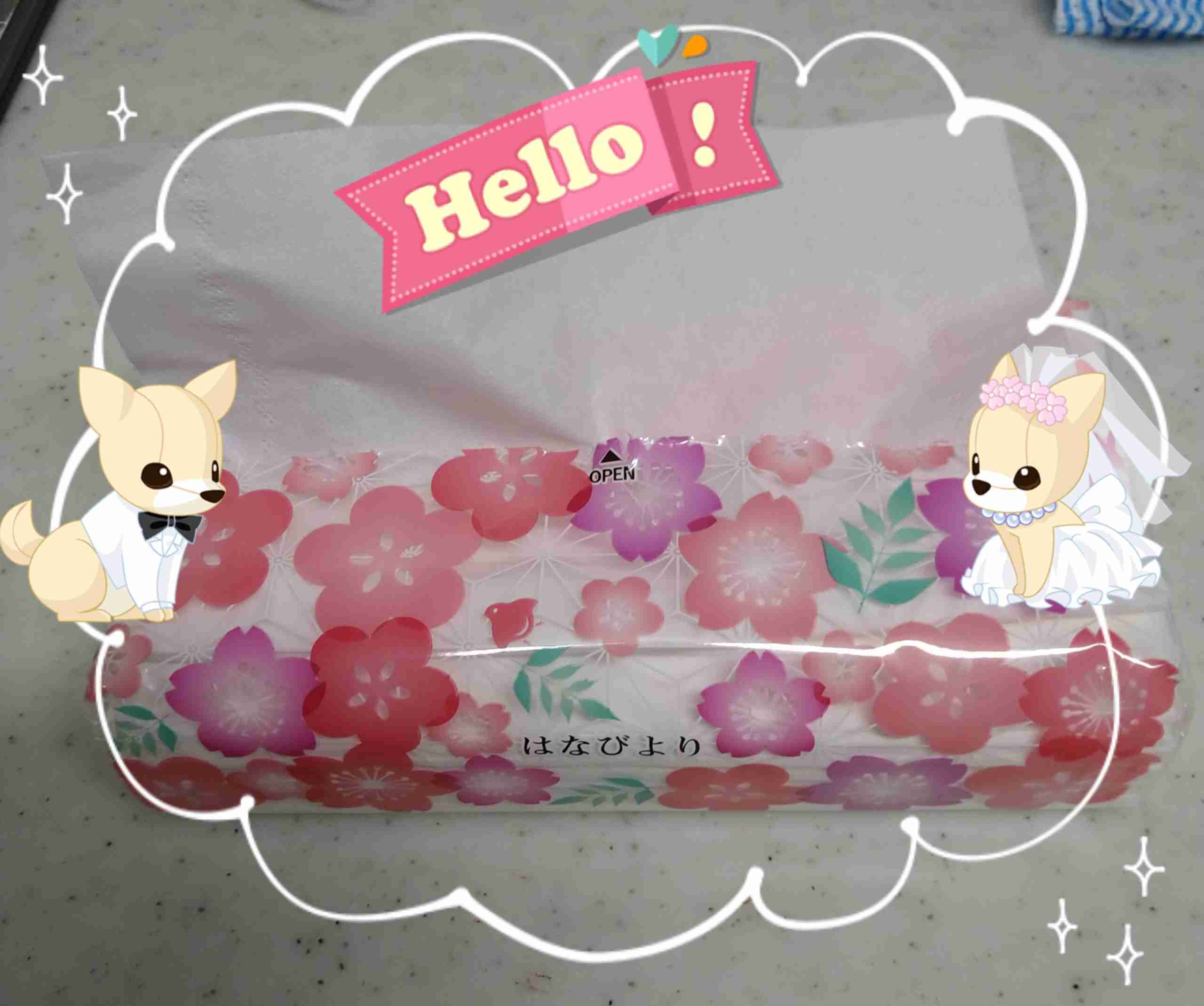 自分で撮った写真を適当に加工するトピPart２