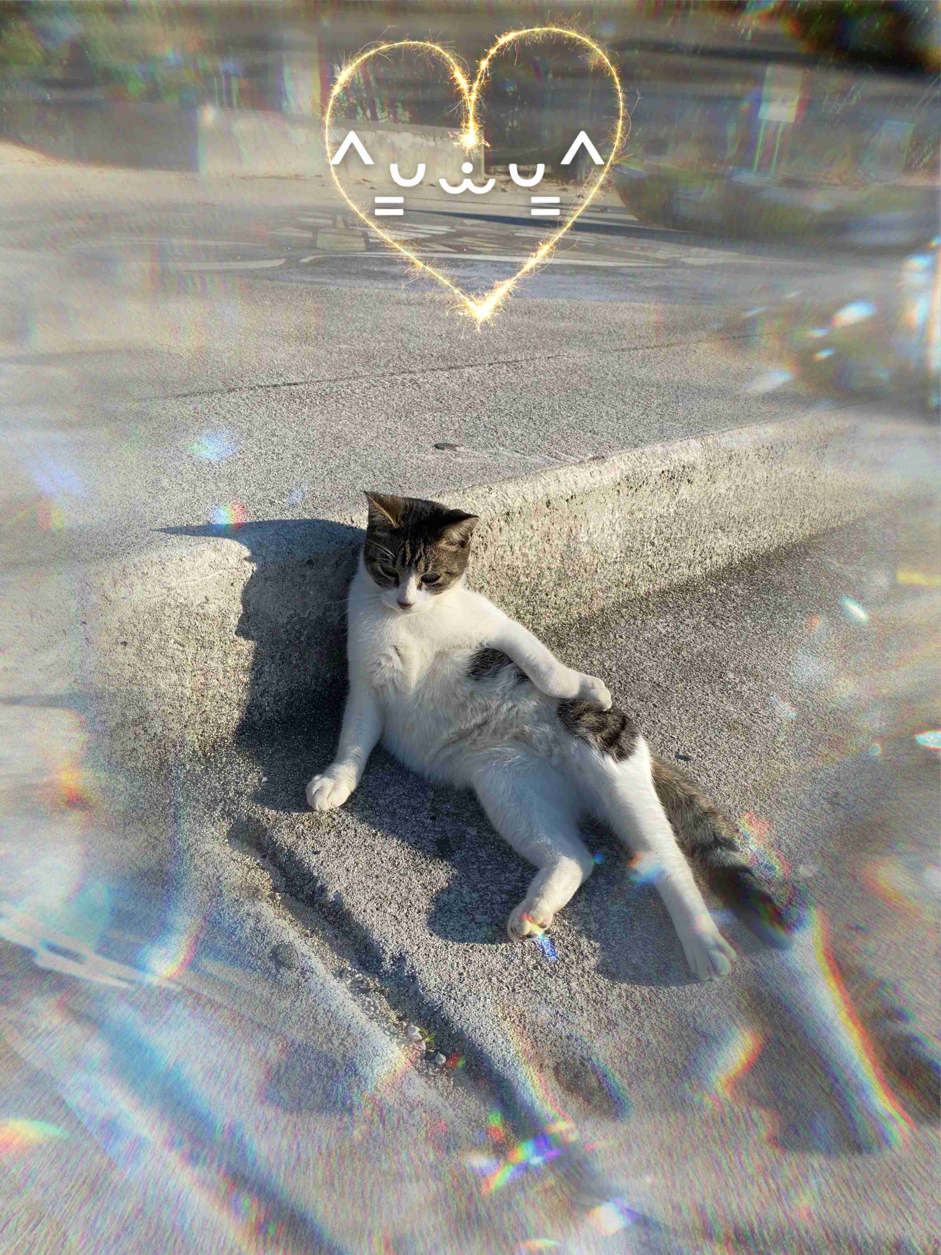 自分で撮った写真を適当に加工するトピPart２