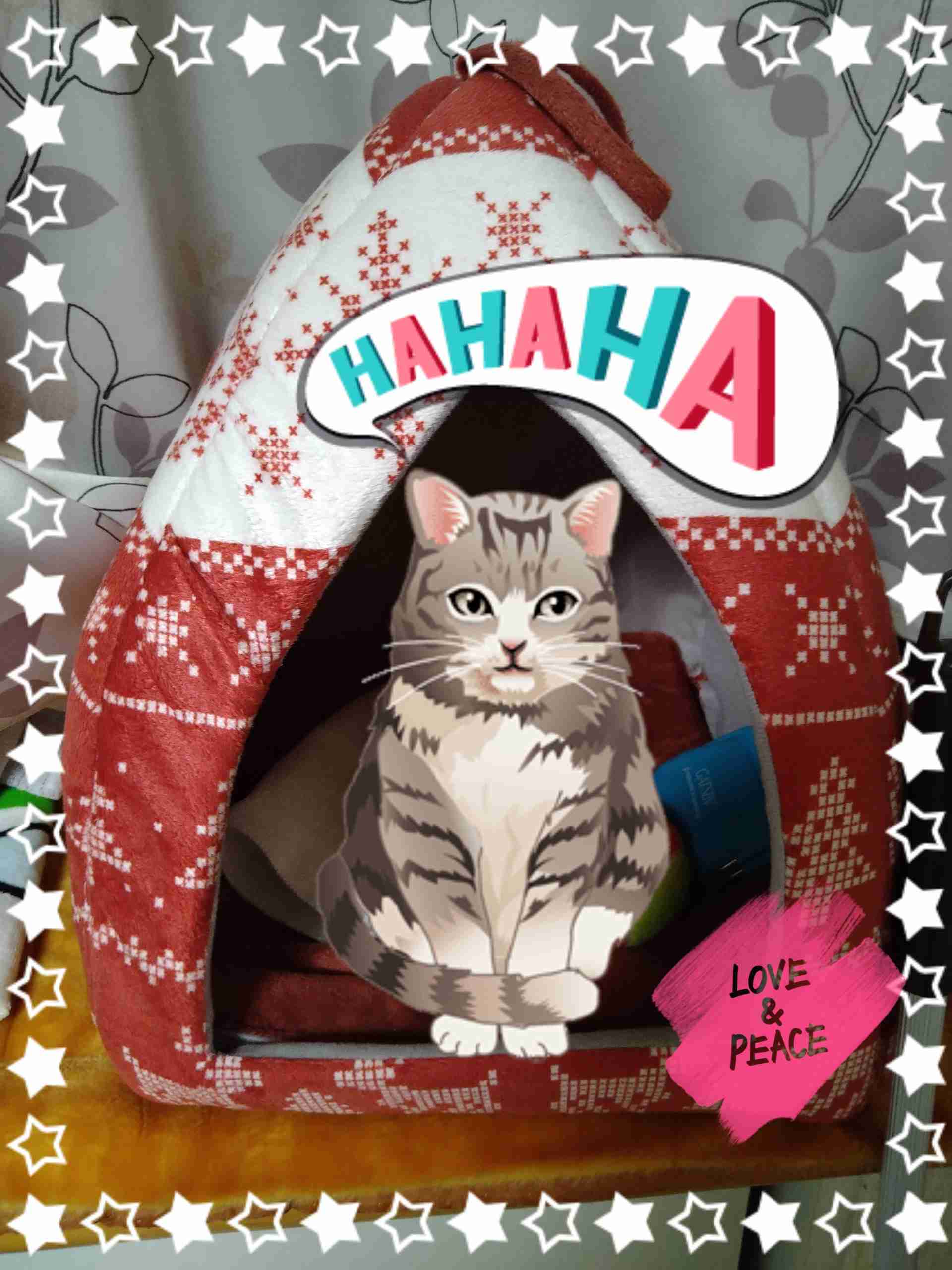 自分で撮った写真を適当に加工するトピPart２