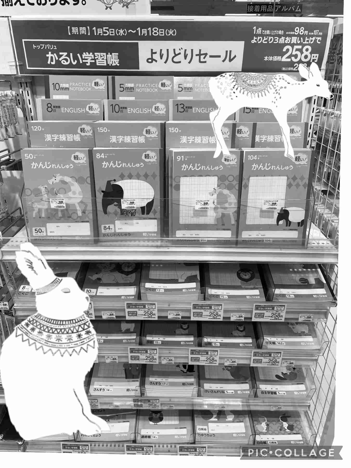 自分で撮った写真を適当に加工するトピPart２