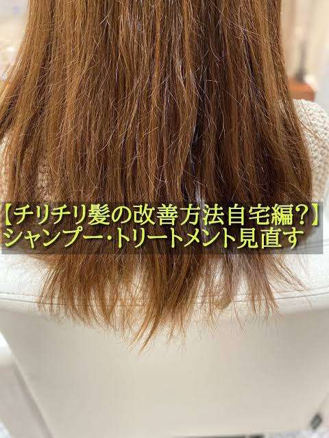 髪質ブスの人
