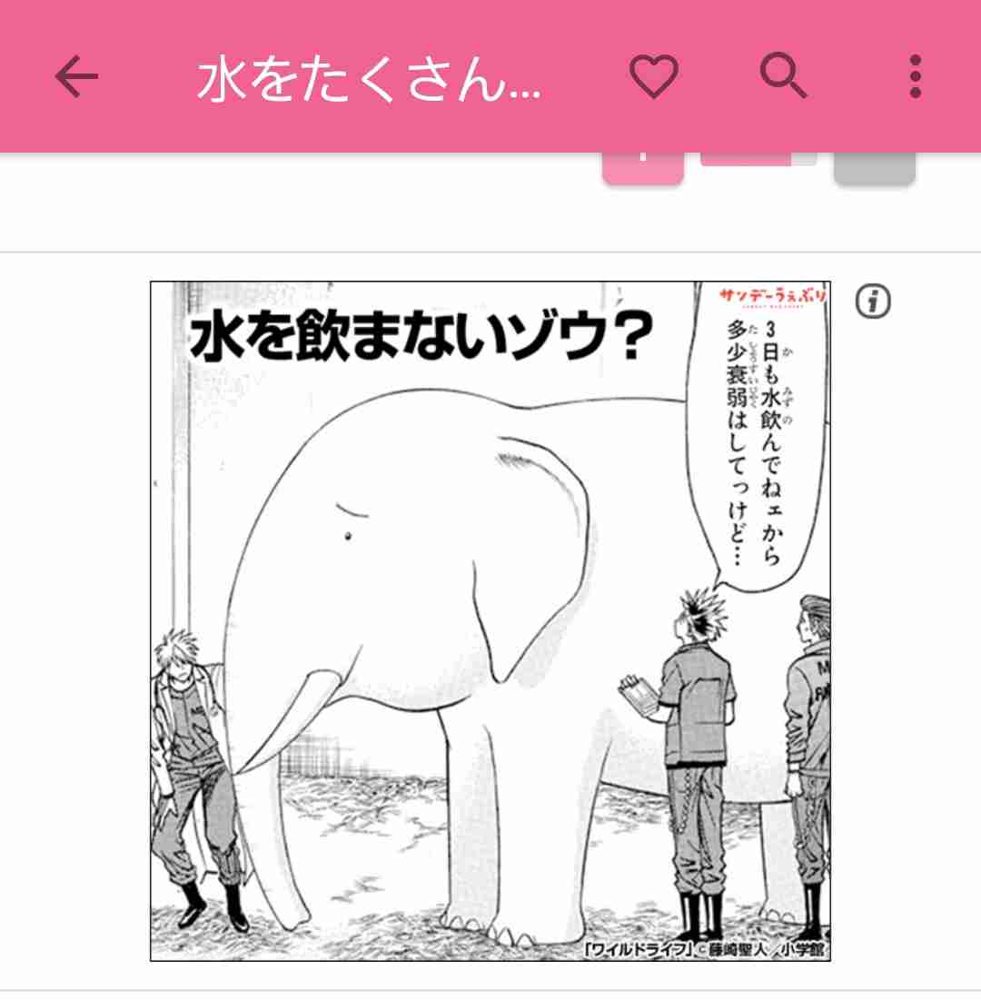 水をたくさんとること