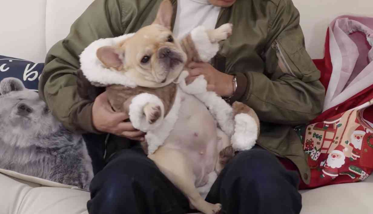 草なぎ剛、3カ月ぶりにインスタ更新　愛犬 クルミちゃんとキュートなツーショット