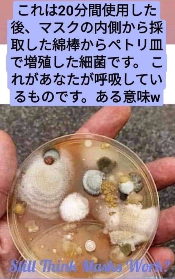コロナウイルスに疲れた人が立ち寄るトピPart23