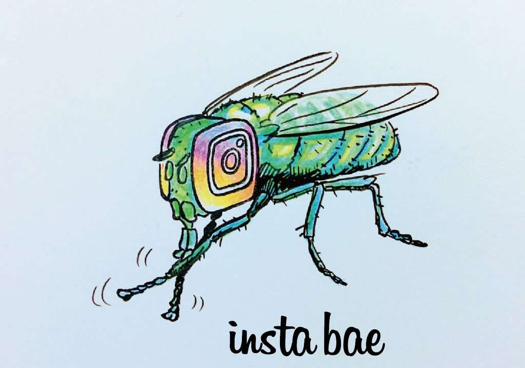 「SDGsでスタバが映えなくなった」と嘆くインスタ女子たちの創意工夫