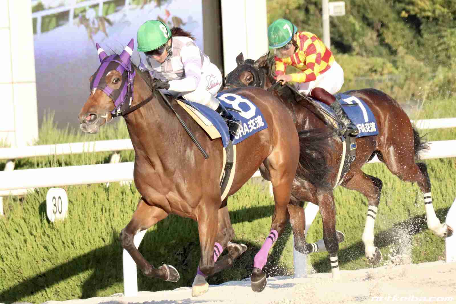 好きな競走馬は？Part3