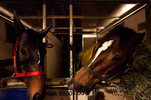 好きな競走馬は？Part3