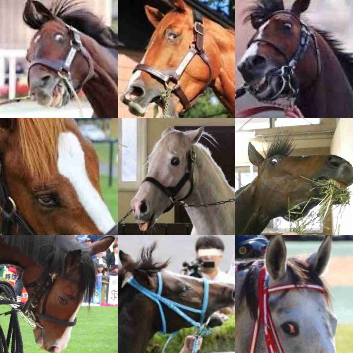 好きな競走馬は？Part3