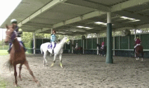 好きな競走馬は？Part3