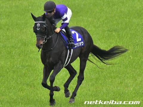 好きな競走馬は？Part3