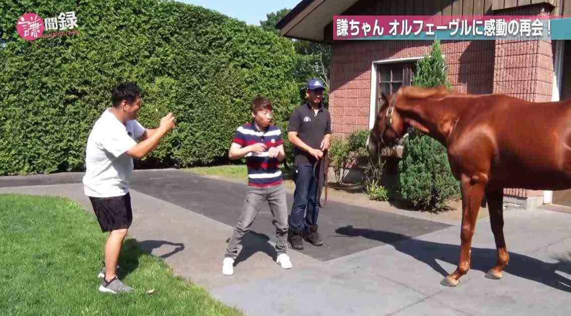 好きな競走馬は？Part3