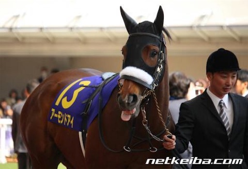 好きな競走馬は？Part3