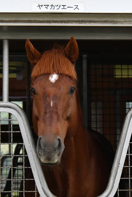 好きな競走馬は？Part3