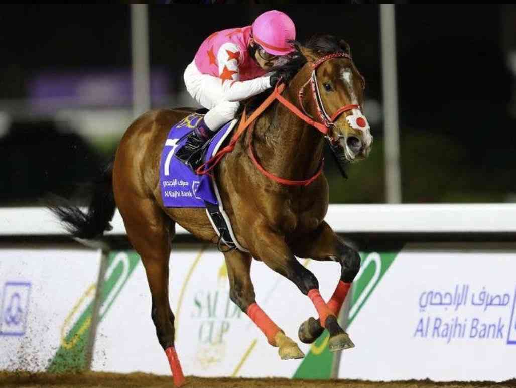 好きな競走馬は？Part3