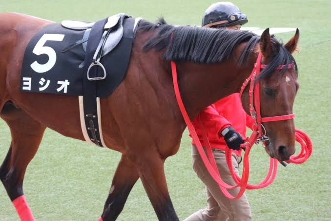 好きな競走馬は？Part3