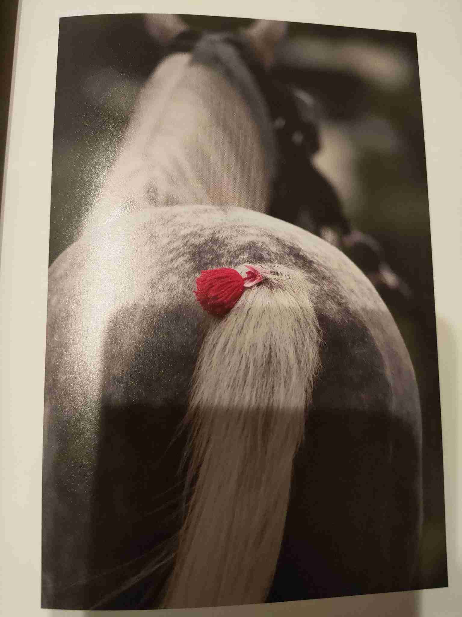 好きな競走馬は？Part3