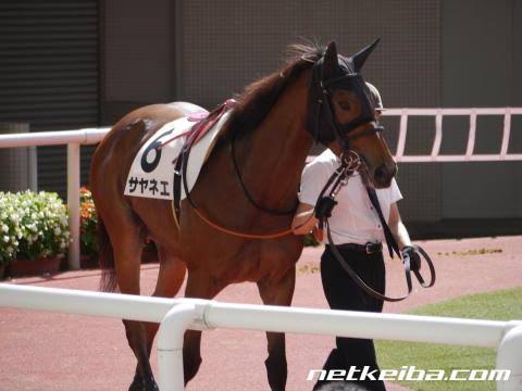 好きな競走馬は？Part3