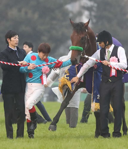 好きな競走馬は？Part3