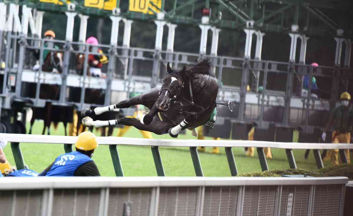 好きな競走馬は？Part3