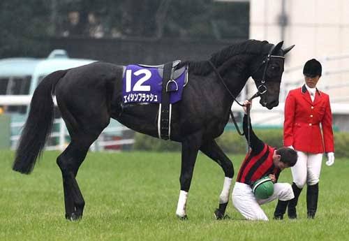 好きな競走馬は？Part3