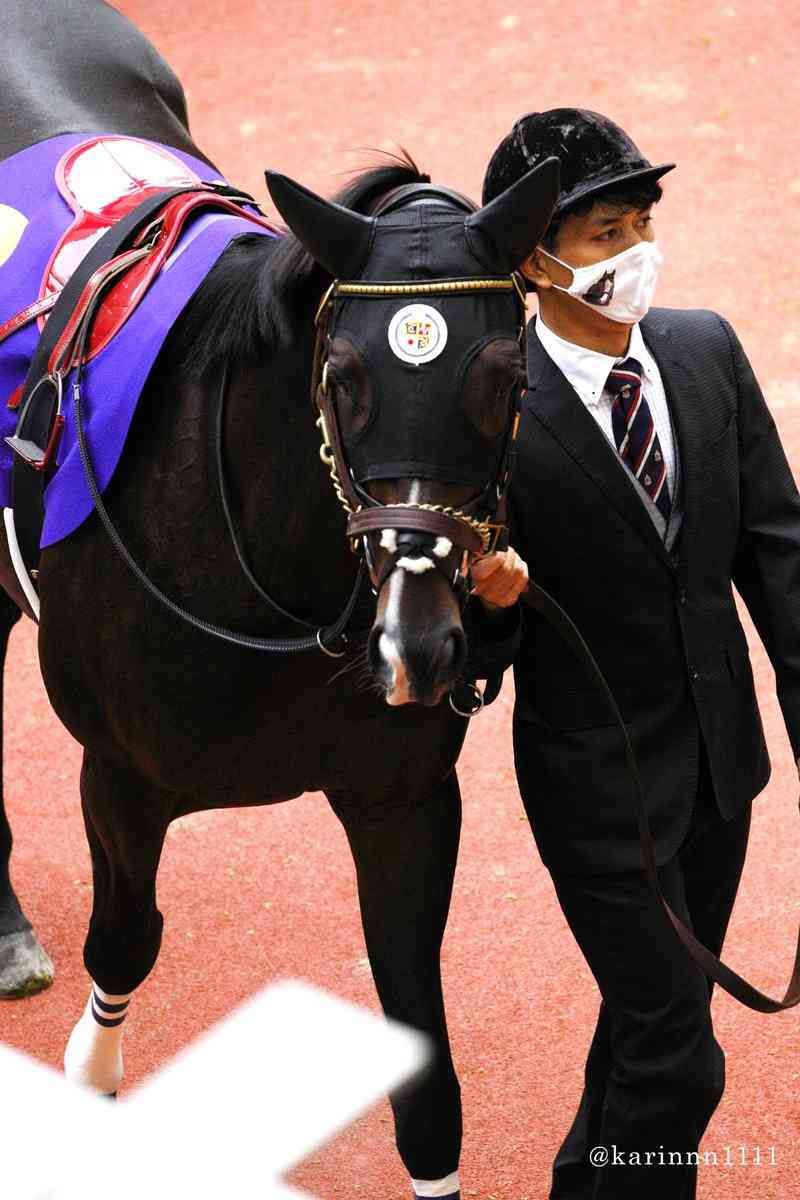 好きな競走馬は？Part3