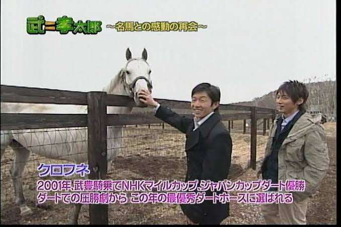 好きな競走馬は？Part3