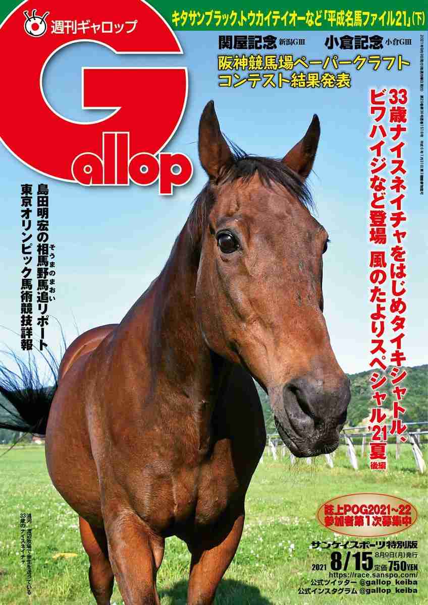 好きな競走馬は？Part3