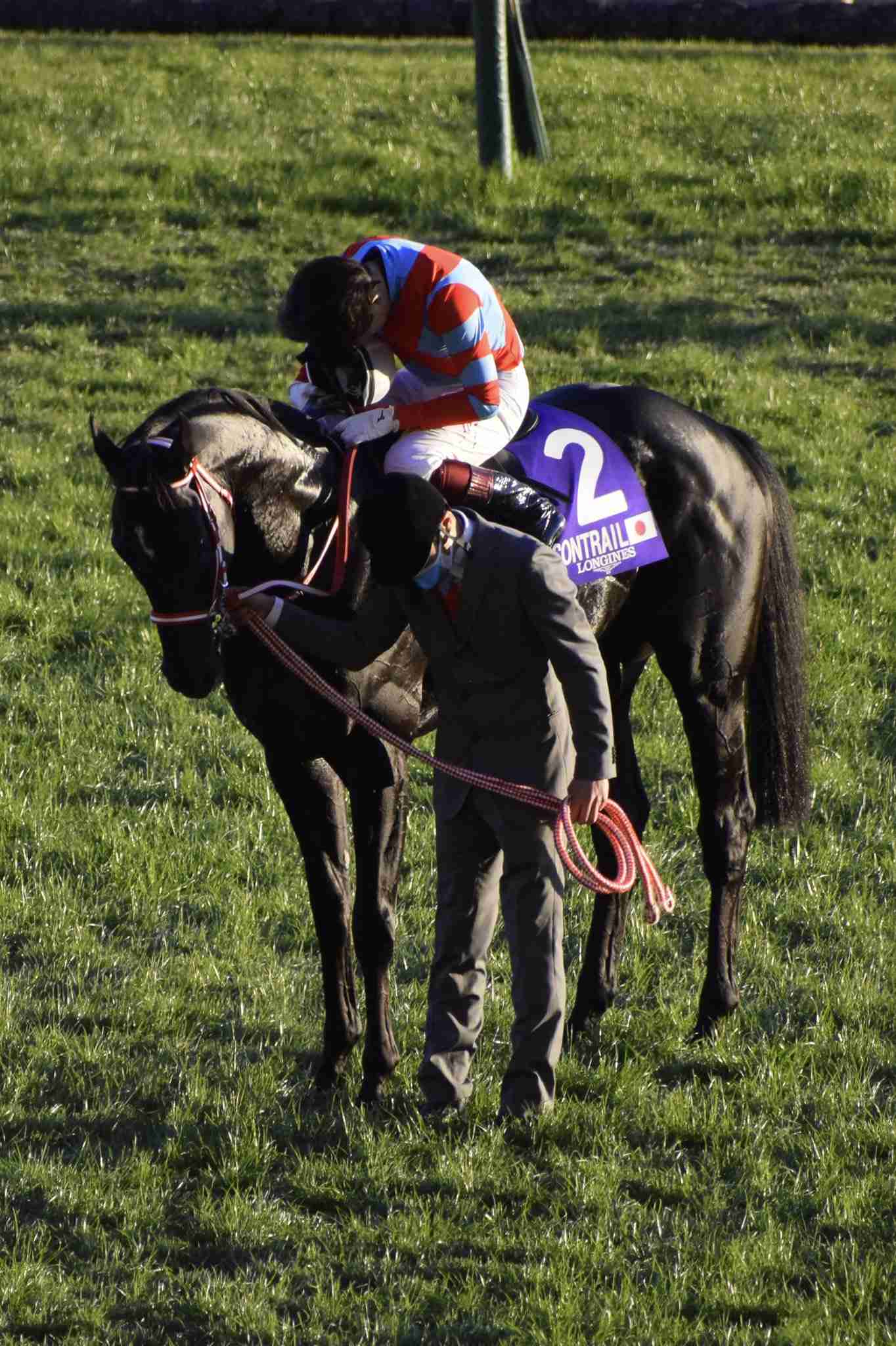 好きな競走馬は？Part3