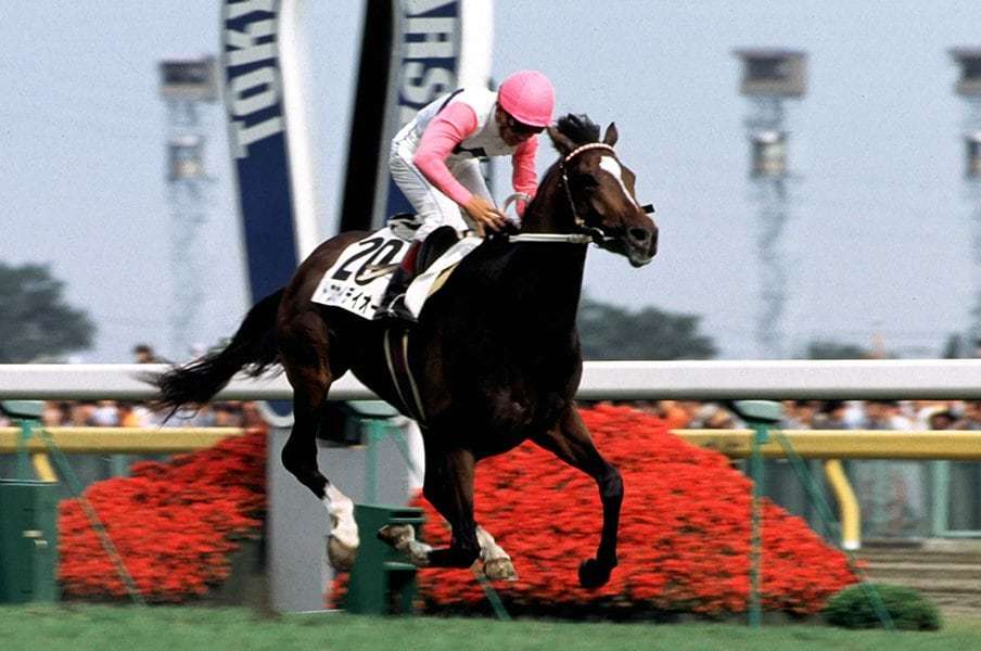 好きな競走馬は？Part3