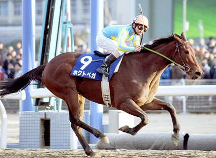 好きな競走馬は？Part3