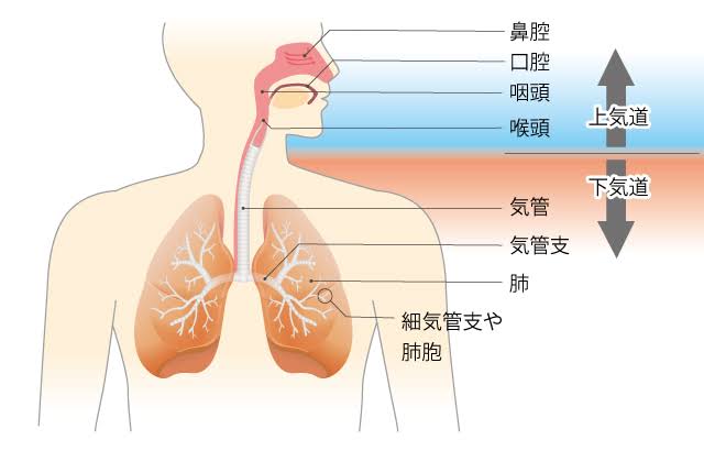 東京都、新たに1224人の感染発表 1200人を上回るのは約4か月ぶり 先週土曜の約15倍 新型コロナ