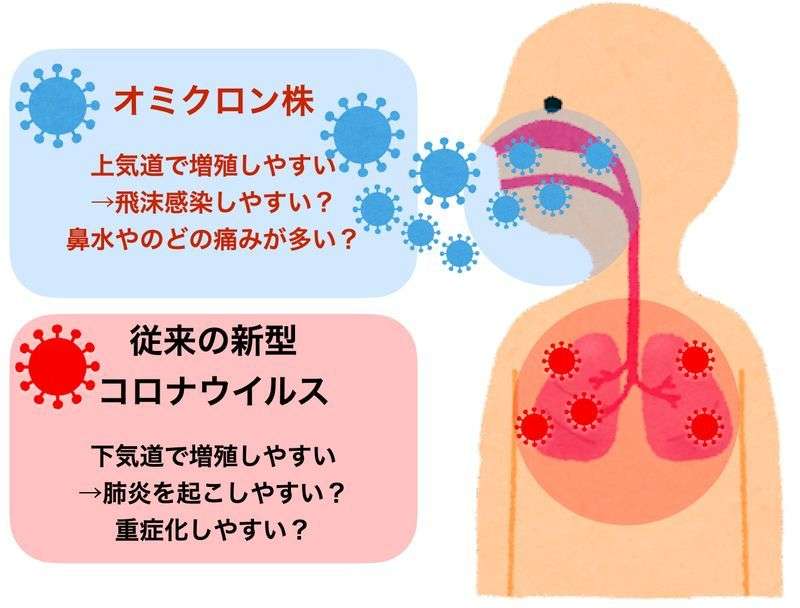 新婚女性「カレーから下水のような異臭」…コロナ後遺症、半年たっても嗅覚は戻らず