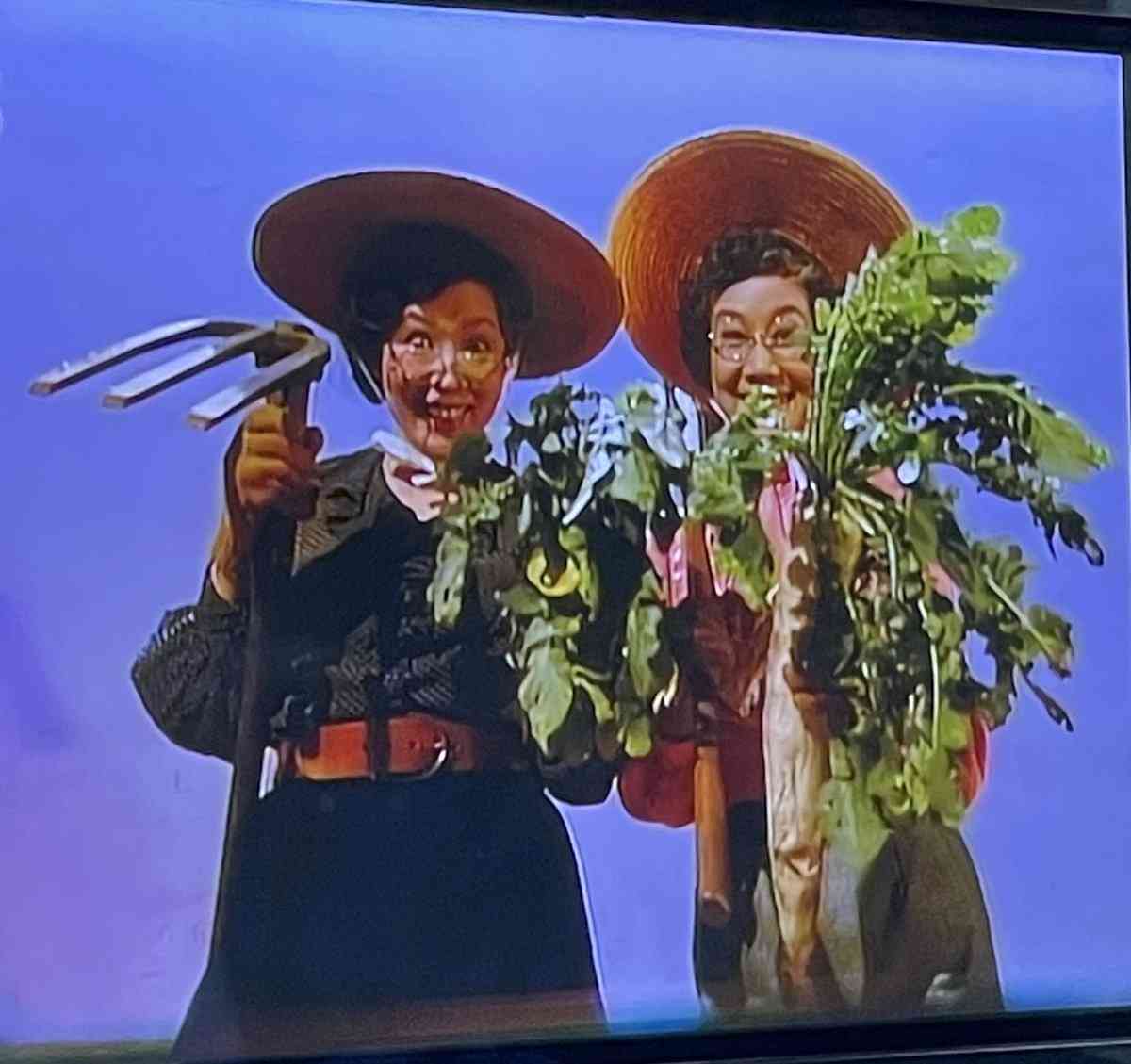 朝ドラ【マー姉ちゃん】を語りましょう part４