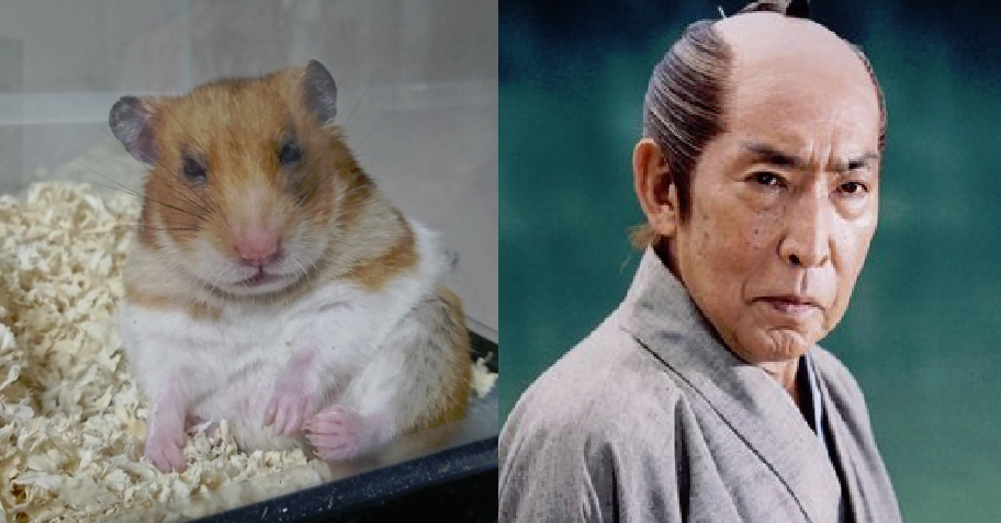 いろんなハマり役が見たい！