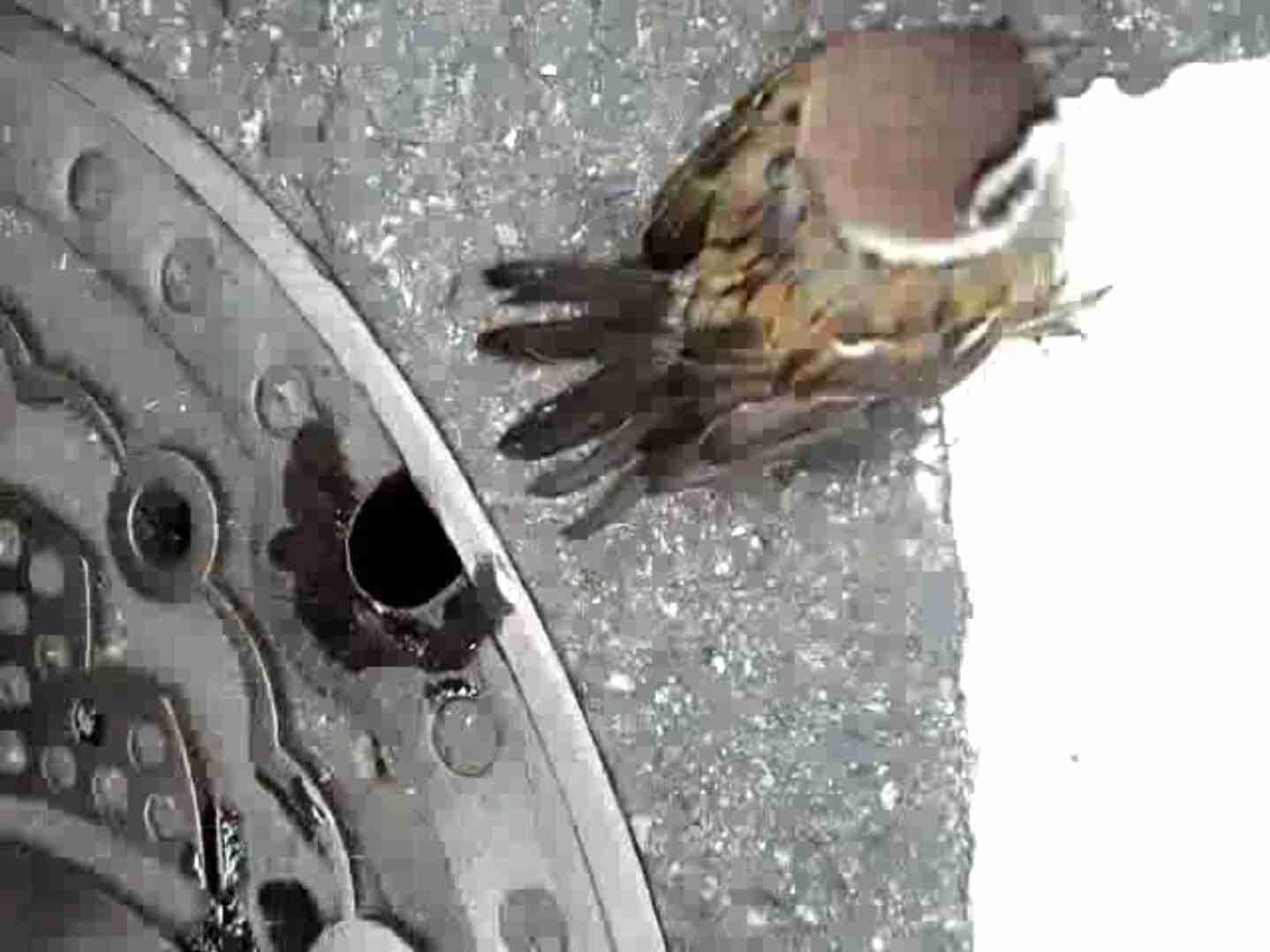 いろんなハマり役が見たい！