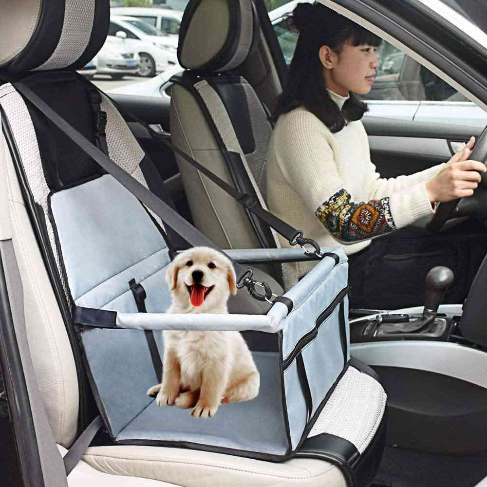 車の窓ガラスから顔だしてる犬、飼い主は違反?膝上に乗せて逮捕されたケースも