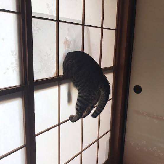 今日がっかりした事を語ろう