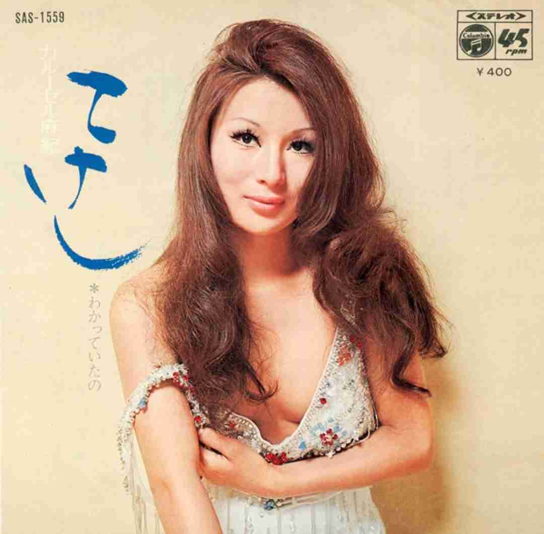 この歌手こんな曲歌ってたんだ…となった曲