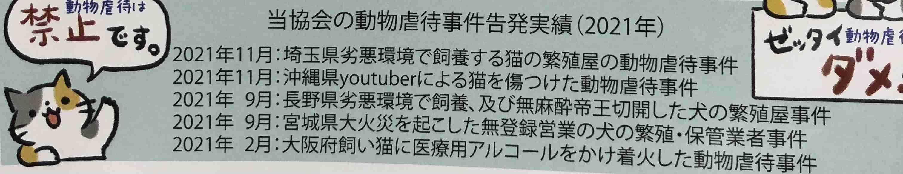 名前は「アヤノゴー」綾野剛にそっくりな猫が里親募集中 Twitterで話題