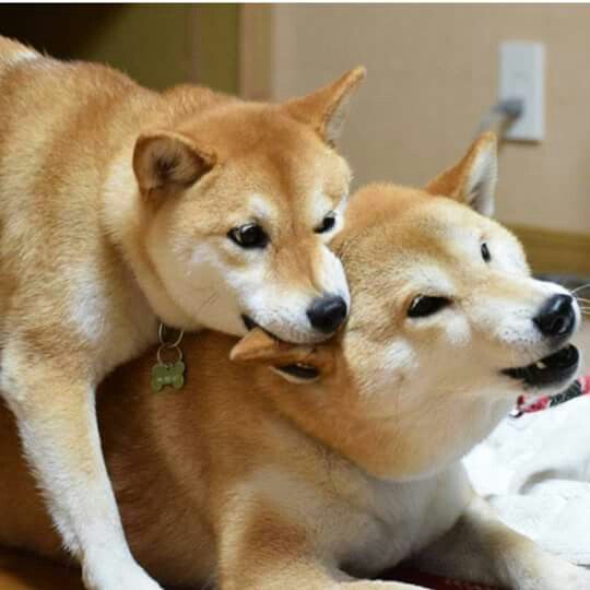 【急募】旦那への愛情を復活させる方法