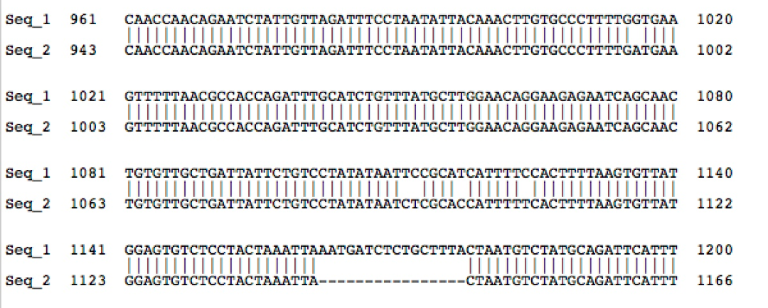 新型コロナ、感染拡大地域では20代突出