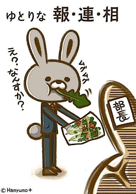 報連相のできない人へ思うこと!そして対処法!