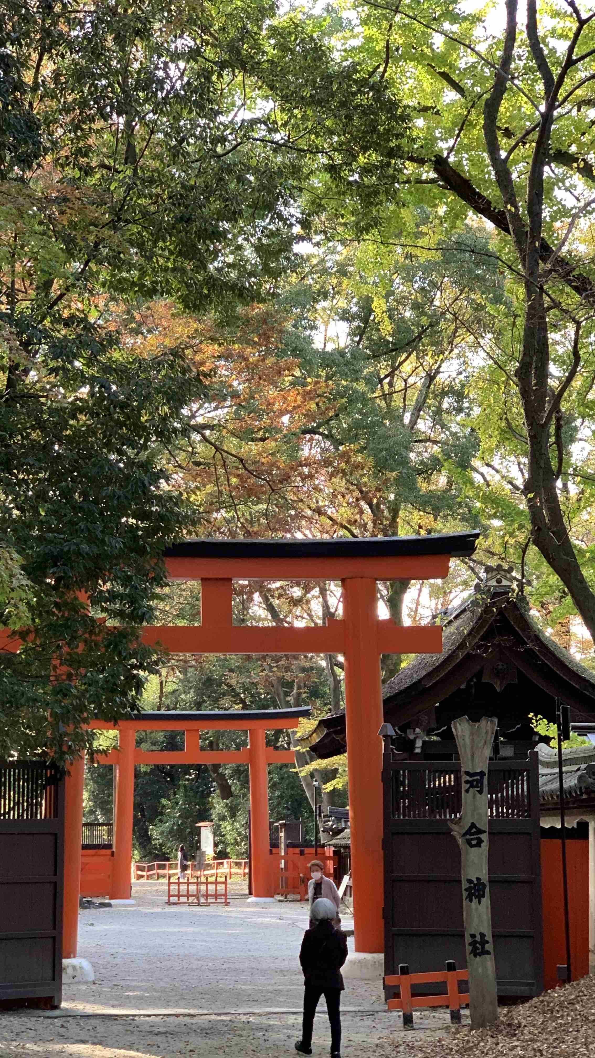 【雑談】京阪電車に乗っている人で雑談するトピ