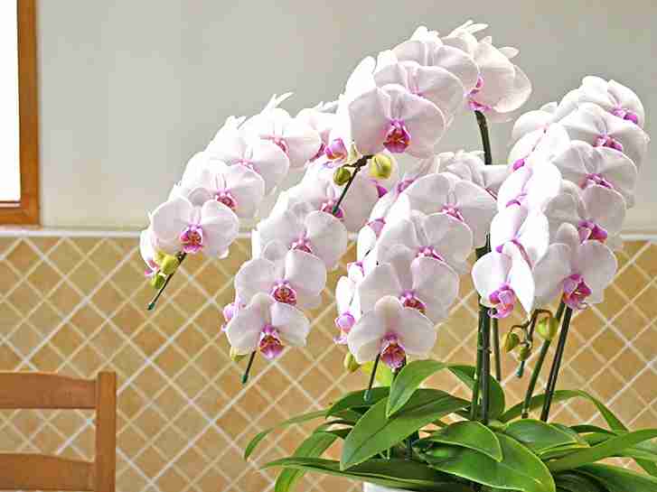 見てるだけで十分だなと思うこと