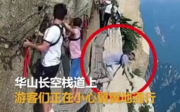 見てるだけで十分だなと思うこと