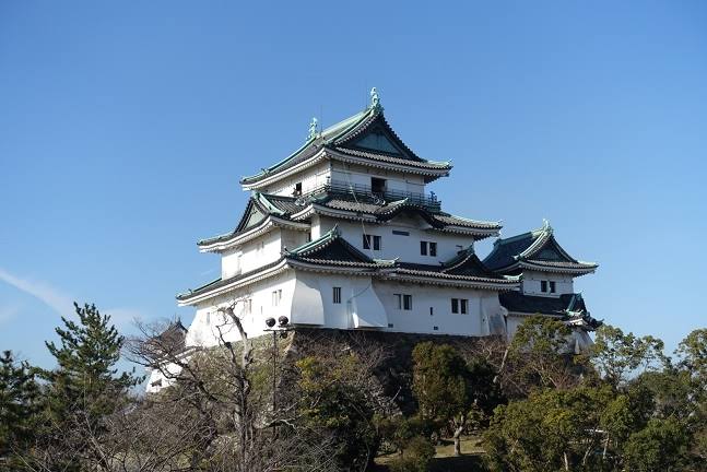 いろんな城が見たい