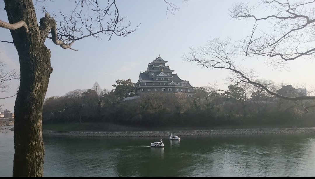 いろんな城が見たい