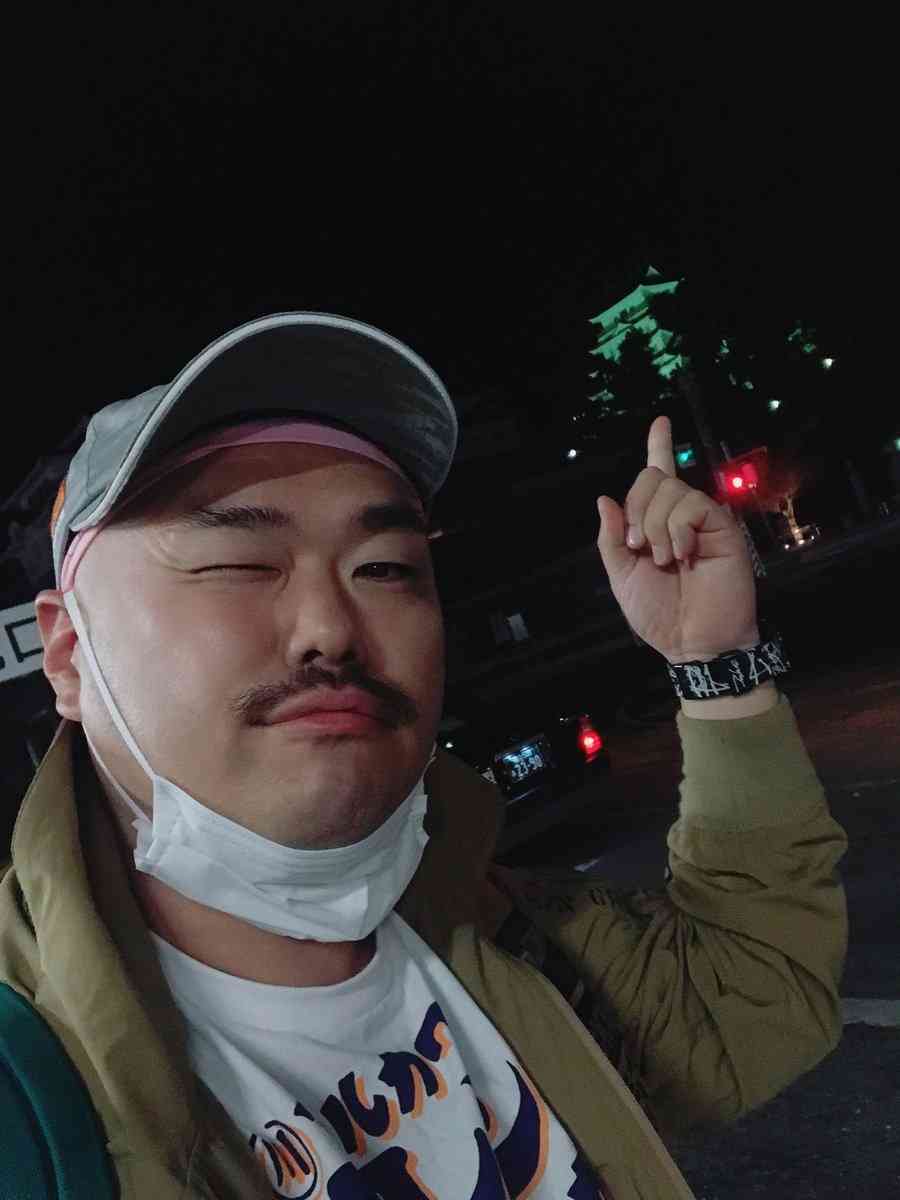 いろんな城が見たい