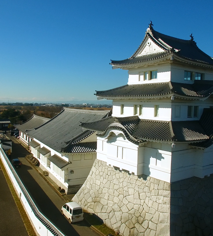 いろんな城が見たい